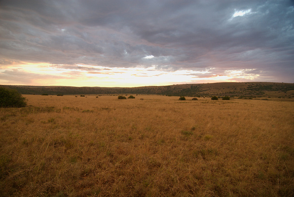 Sunset at Amakhala Game Reserve
