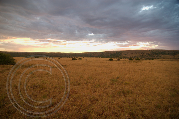 Sunset at Amakhala Game Reserve