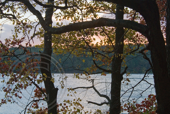 Through the Trees at Sunset Walden Pond